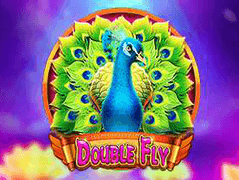 Double Fly game icon
